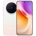 Vivo X300