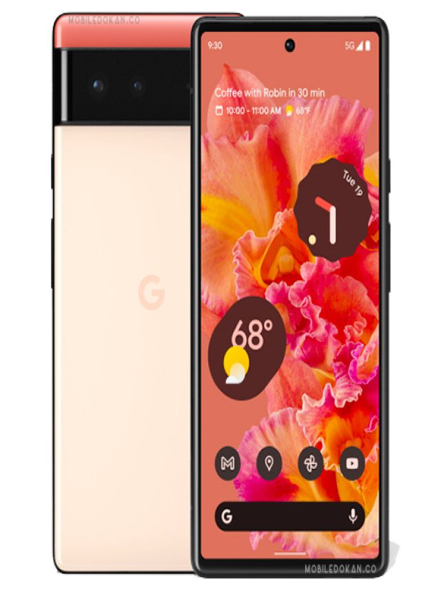 Google Pixel 6 Web Story