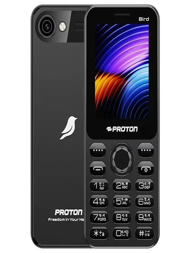 Proton Bird Web Story