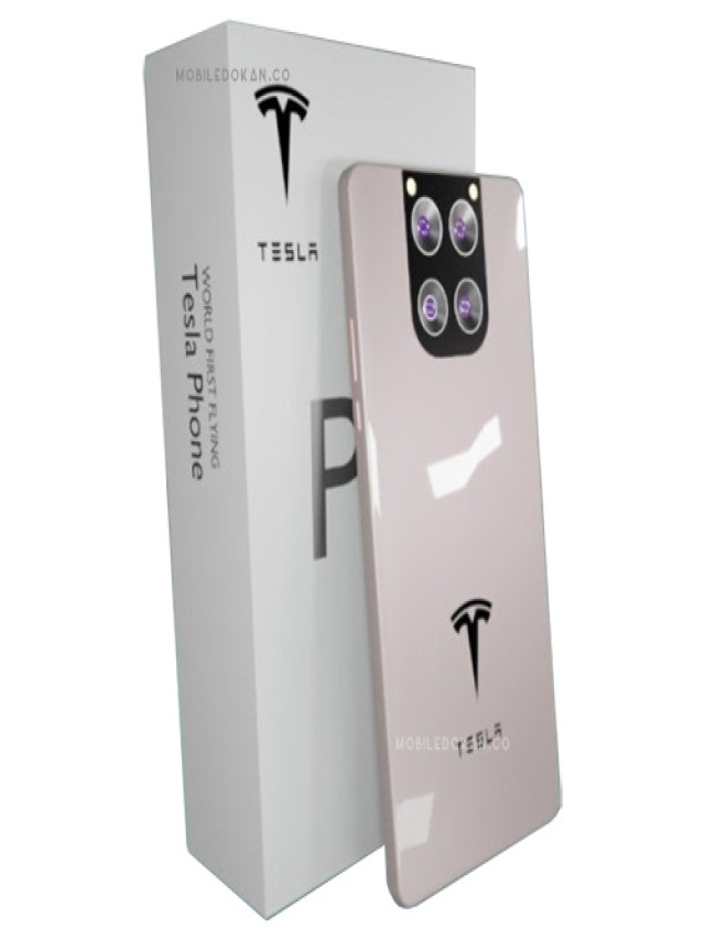 Tesla Model Pi Web Story
