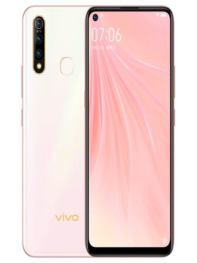 Vivo Z5x (2020) Web Story